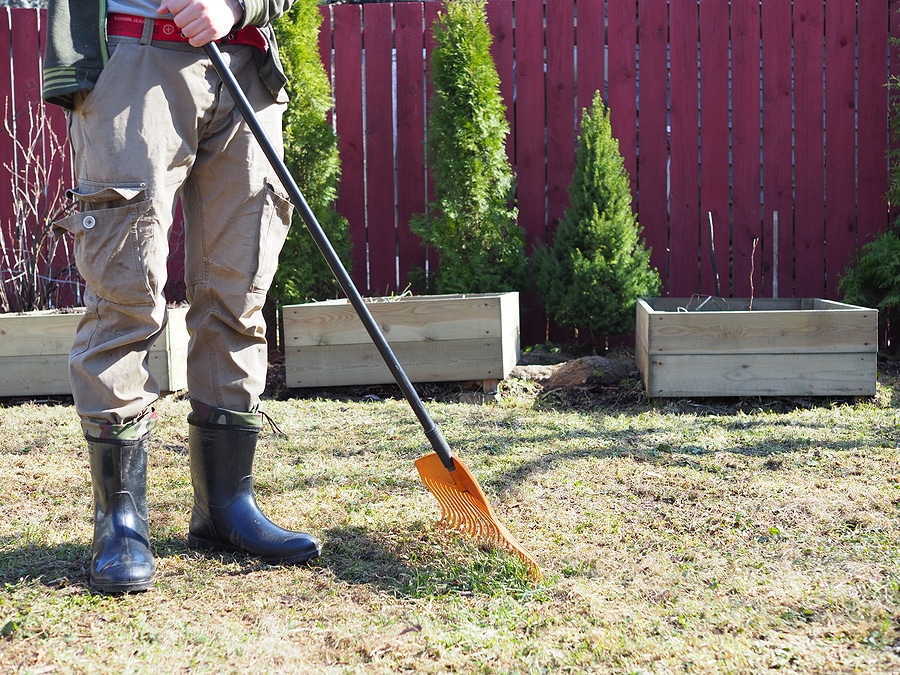 Landscape cleanup services in Indiana