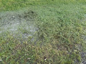 3 Reasons Your Drainage Problems Get Worse in Spring