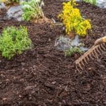 The Case for Professional Mulch Delivery and Install