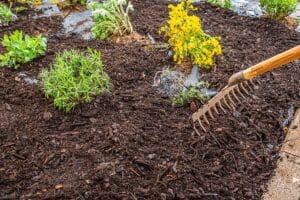 The Case for Professional Mulch Delivery and Install