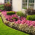 The Right Way to Edge Your Lawn & Landscape Beds