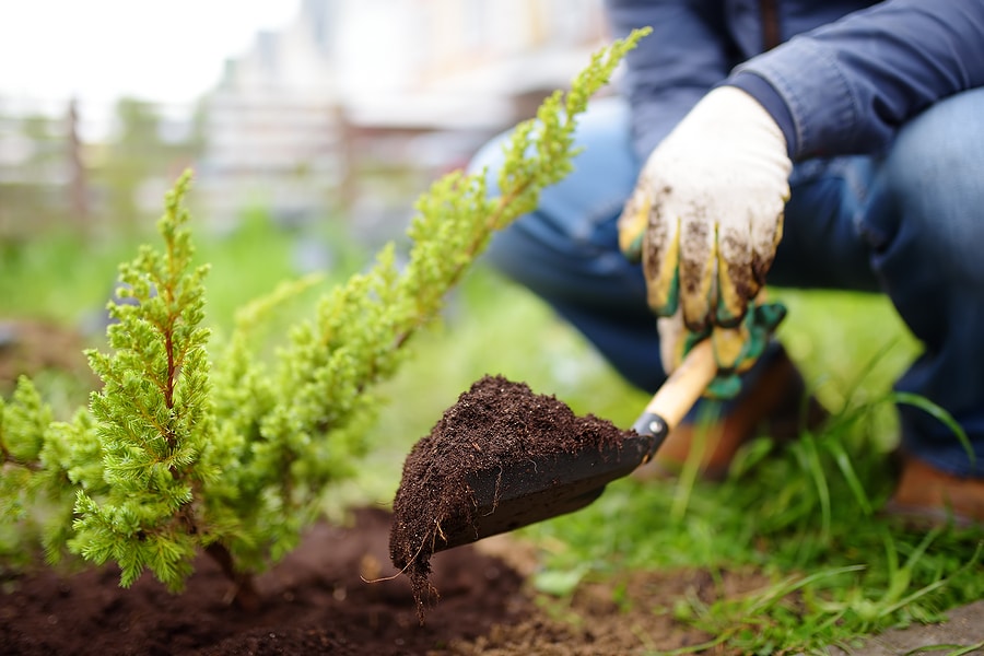 Why Spring Is the Best Time to Redesign Your Landscape